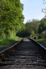 Fototapeta premium old railway track going though the forest