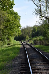 Fototapeta premium old railway track going though the forest
