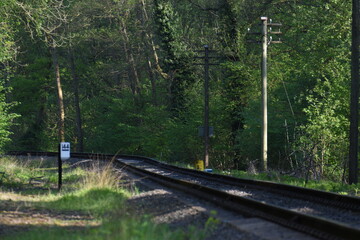 old railway track going though the forest