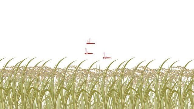 赤とんぼ の画像 8 971 件の Stock 写真 ベクターおよびビデオ Adobe Stock 赤とんぼ の画像 8 971 件の Stock 写真 ベクターおよびビデオ Adobe Stock