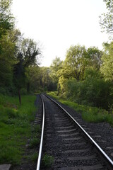 Fototapeta premium old railway track going though the forest