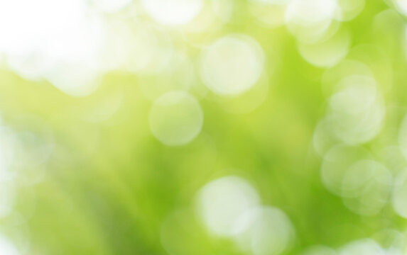 green bokeh background,abstract blur green color for background,blurred and defocused effect spring concept for design,nature view of blurred greenery background