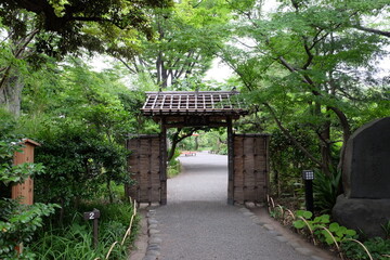 赤い毛せんがのぞく「日本庭園の門」　Traditional Japanese garden gate（Tokyo,japan）