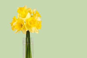 Bouquet of yellow daffodils, narcissus in transparent vase on green background with copy space. Mockup, template for holiday, birthday, mother's day on yellow background with copy space for text.
