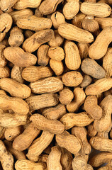 peanuts texture