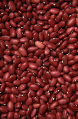 Dry red beans