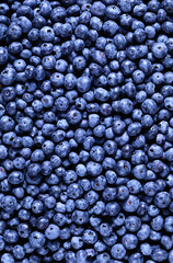 Blue currant texture