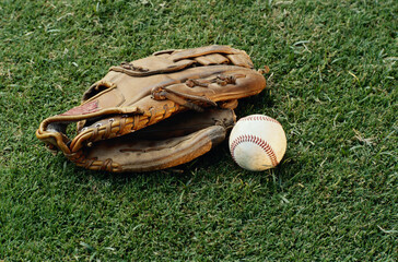 Baseball in a Glove