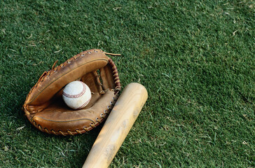 Baseball in a Glove with Bat