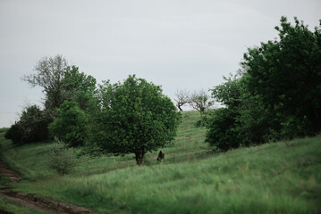 Summer landscape after the rain outside the city