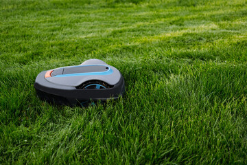 Lawn mower cutting green grass. Robot. Copyspace - obrazy, fototapety, plakaty