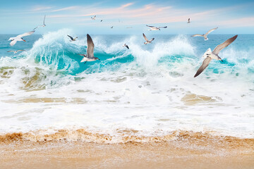 Ocean storm and flying seagulls. Seascape. Mexico. Baja California Sur. - 503965655