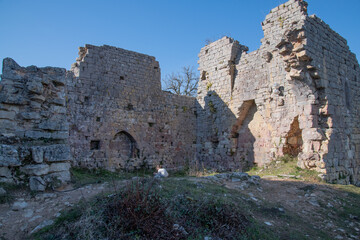 Fototapeta na wymiar chateau ruines de taillefer