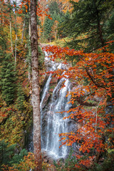 Autumn landscape with a forest waterfall.