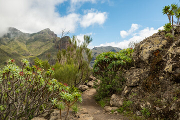Hiking path Tenerife Teno mountains