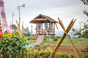 A wooden pavilion for relaxation is located in the middle of the rice field in a coffee shop.