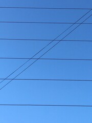 Cables de electricidad sobre un cielo celeste