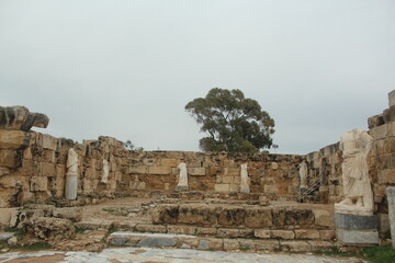 
Salamis Ancient City, statues, columns, ruins and ancient theatre, Famagusta Cyprus