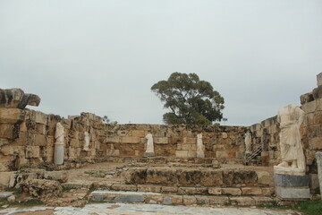 
Salamis Ancient City, statues, columns, ruins and ancient theatre, Famagusta Cyprus