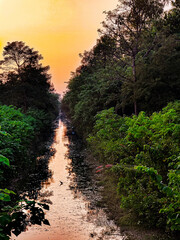 Fototapeta premium path in the forest