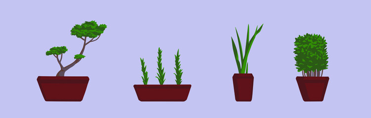 Set of house plants and flowers in pots. Flat style vector illustration. Home interior. Isolated