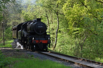 an Ivatt class 4 steam locomotive traveling through an English forest