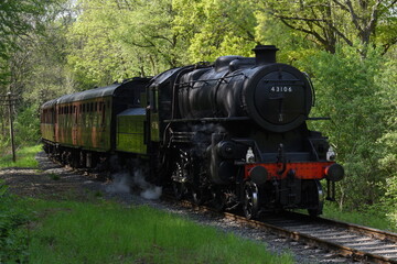 Fototapeta na wymiar an Ivatt class 4 steam locomotive traveling through an English forest