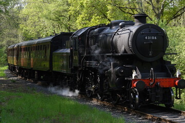 Fototapeta na wymiar an Ivatt class 4 steam locomotive traveling through an English forest