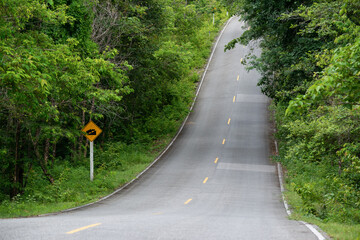 The road in to the forest, Views of country roads and trees Suitable for car travel In Thailand..