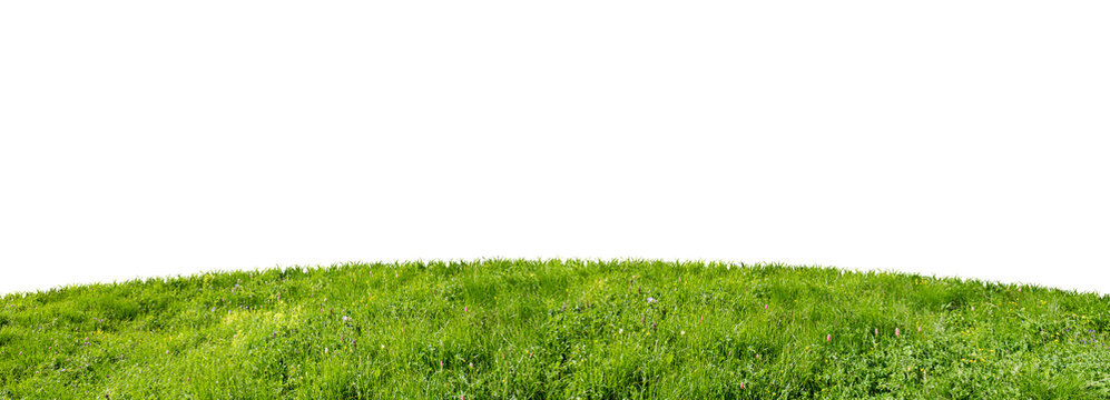 green grass field isolated on white background © maribom
