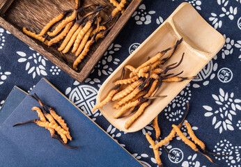 Photography of cordyceps sinensis, a nourishing Chinese herb