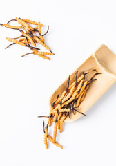 Photography of cordyceps sinensis, a nourishing Chinese herb