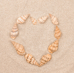 Close up of shells on sand texture. Background from fine sand. Seashells laid out in the shape of a heart