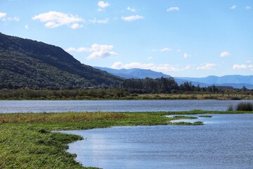 Fototapeta premium Photograph of Lagoa do Marcelino in Osório in Rio Grande do Sul, Brazil.