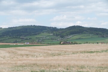 Obraz premium forest natural landscape of northern bohemia