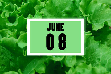 calendar date oncalendar date on the background of green lettuce leaves. June 8 is the eighth day of the month