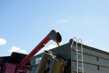 The combine unloads the harvested grain in the trailer to the tractor in the field close up