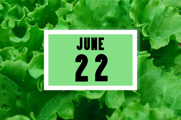 calendar date oncalendar date on the background of green lettuce leaves. June 22 is the...