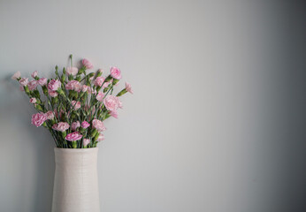 Delicate light pink carnation flowers on a light gray background
