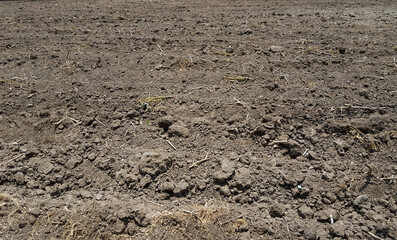 soil of ploughed field