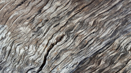 old grunge wood texture