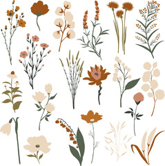 Set of different types of flowers and bushes