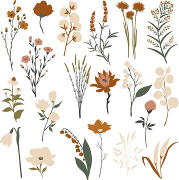 Set of different types of flowers and bushes