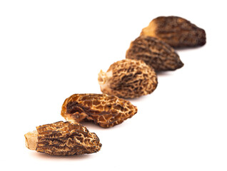 Morel Mushrooms Isolated on White Background