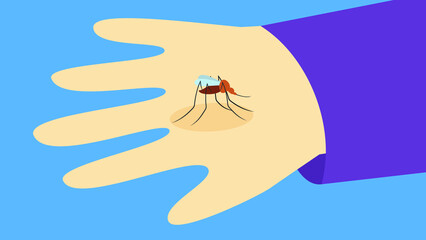 A mosquito sits on a hand and bites