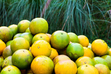 Fresh oranges at the farmers market.