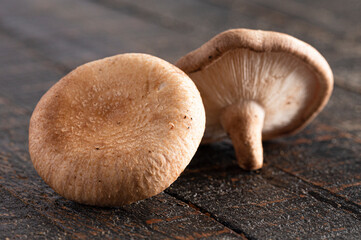 Fresh Mushrooms on a Wooden Table