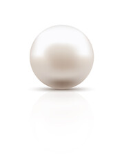 A Beautiful Pearl with a Reflection. Pearl Jewel of Round Shape. Isolated Elegant Ocean and River pearls with Shadow. White background. Realistic style. A Design element. Vector Illustration.
