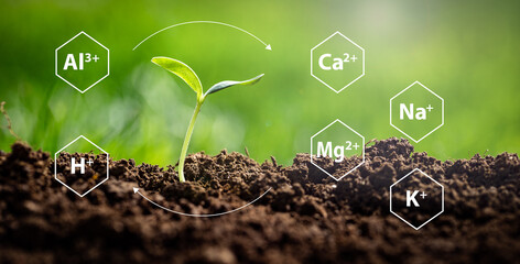 Soil Cation Balancing concept expressed by saturation ratios for achieving optimal crop yields