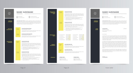 Professional Resume/CV and Cover Letter Template